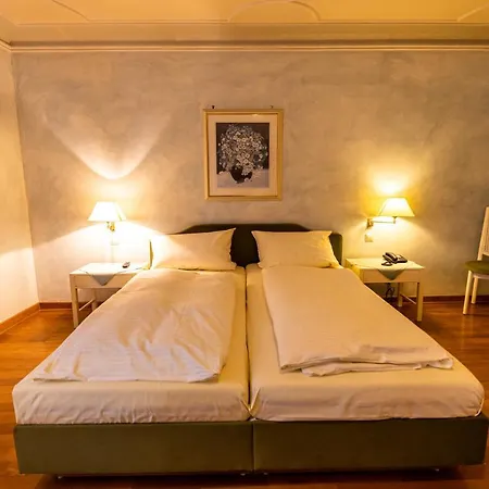 Hotel & Restaurant Zum Riesen 3*