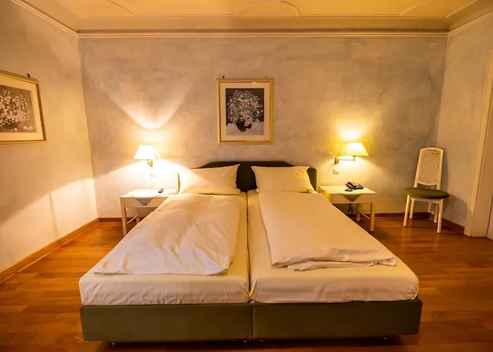 Отель & Restaurant Zum Riesen 3*