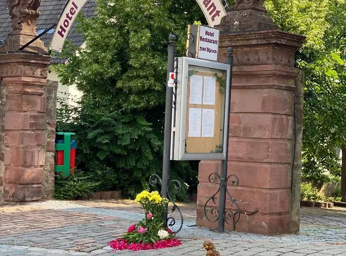 Отель & Restaurant Zum Riesen Вальдюрн