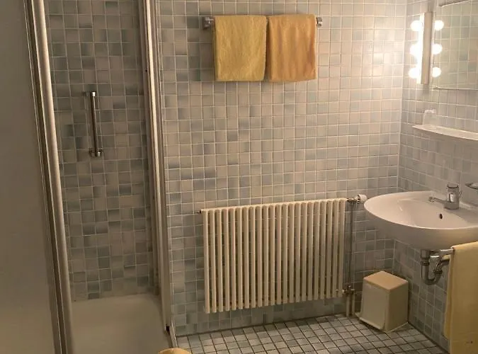 Отель & Restaurant Zum Riesen Вальдюрн